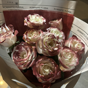 抢女友速成班漫画免费读漫画下拉式
